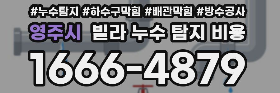 영주시 빌라 누수 탐지 비용