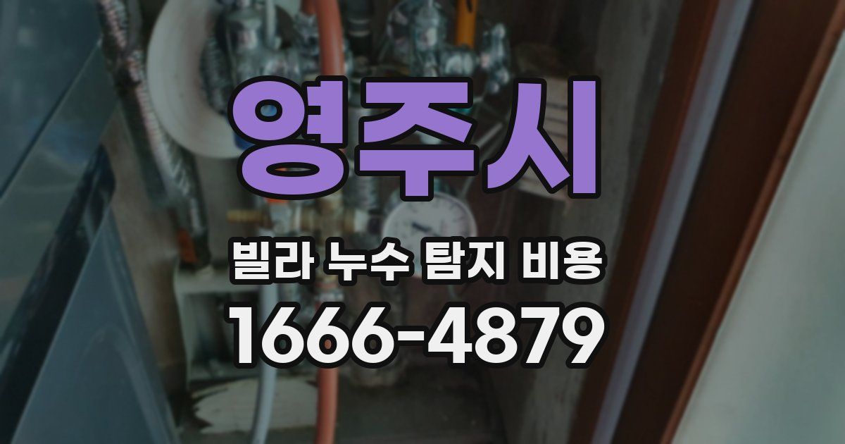 영주시 빌라 누수 탐지 비용