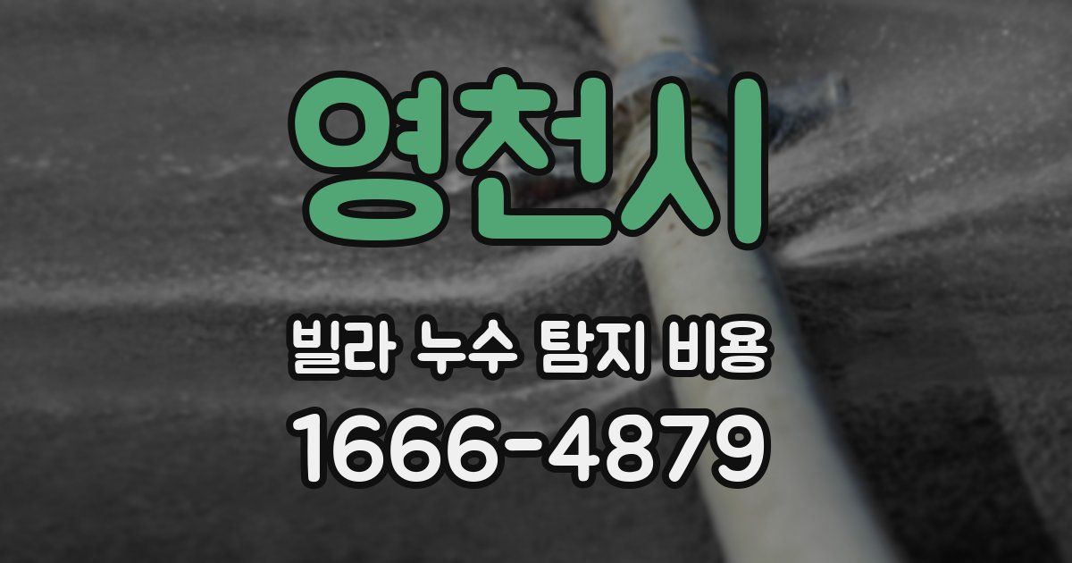 영천시 빌라 누수 탐지 비용