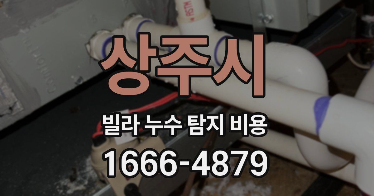 상주시 빌라 누수 탐지 비용