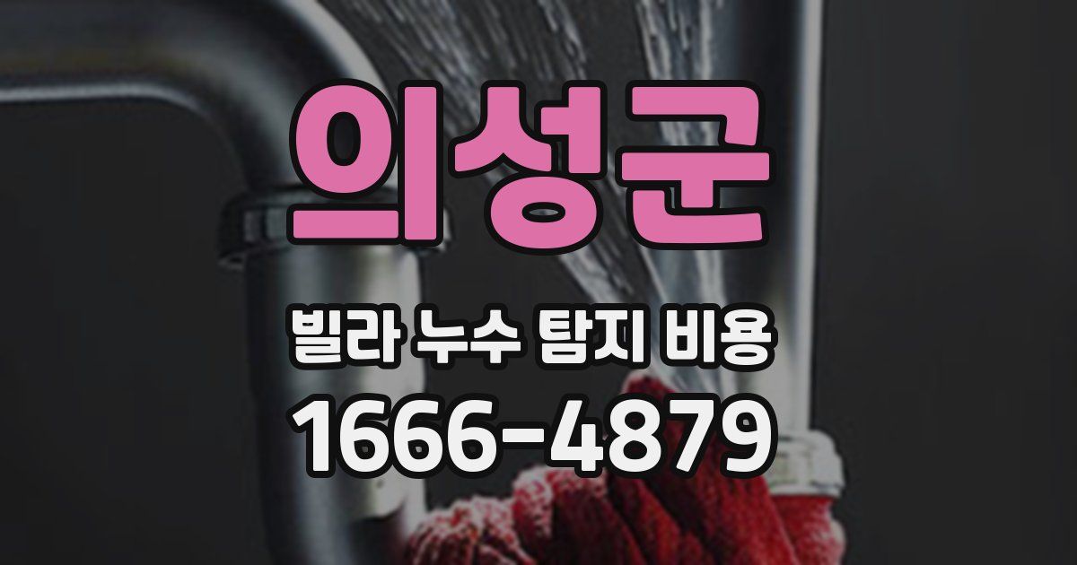 의성군 빌라 누수 탐지 비용