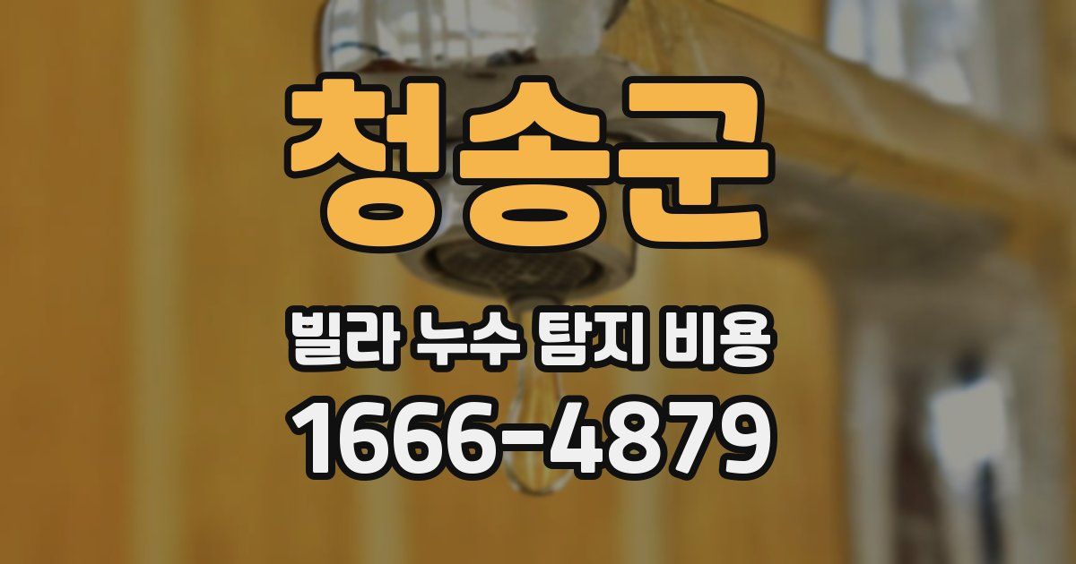 청송군 빌라 누수 탐지 비용