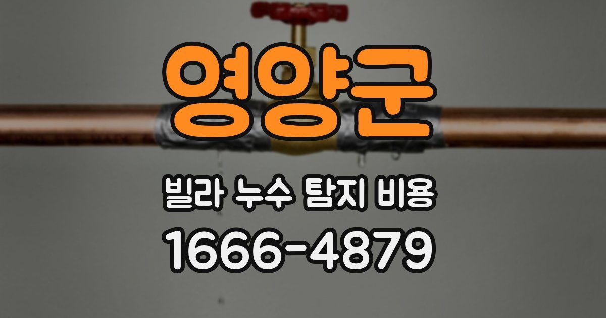 영양군 빌라 누수 탐지 비용