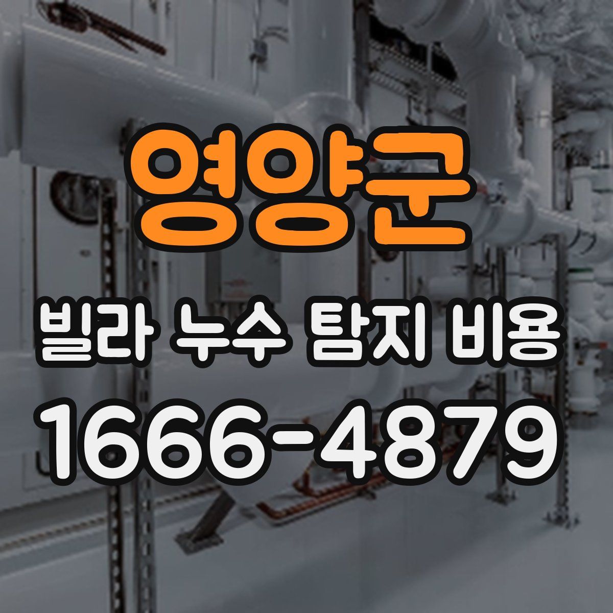 영양군 빌라 누수 탐지 비용