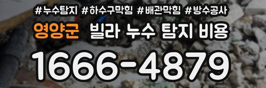 영양군 빌라 누수 탐지 비용