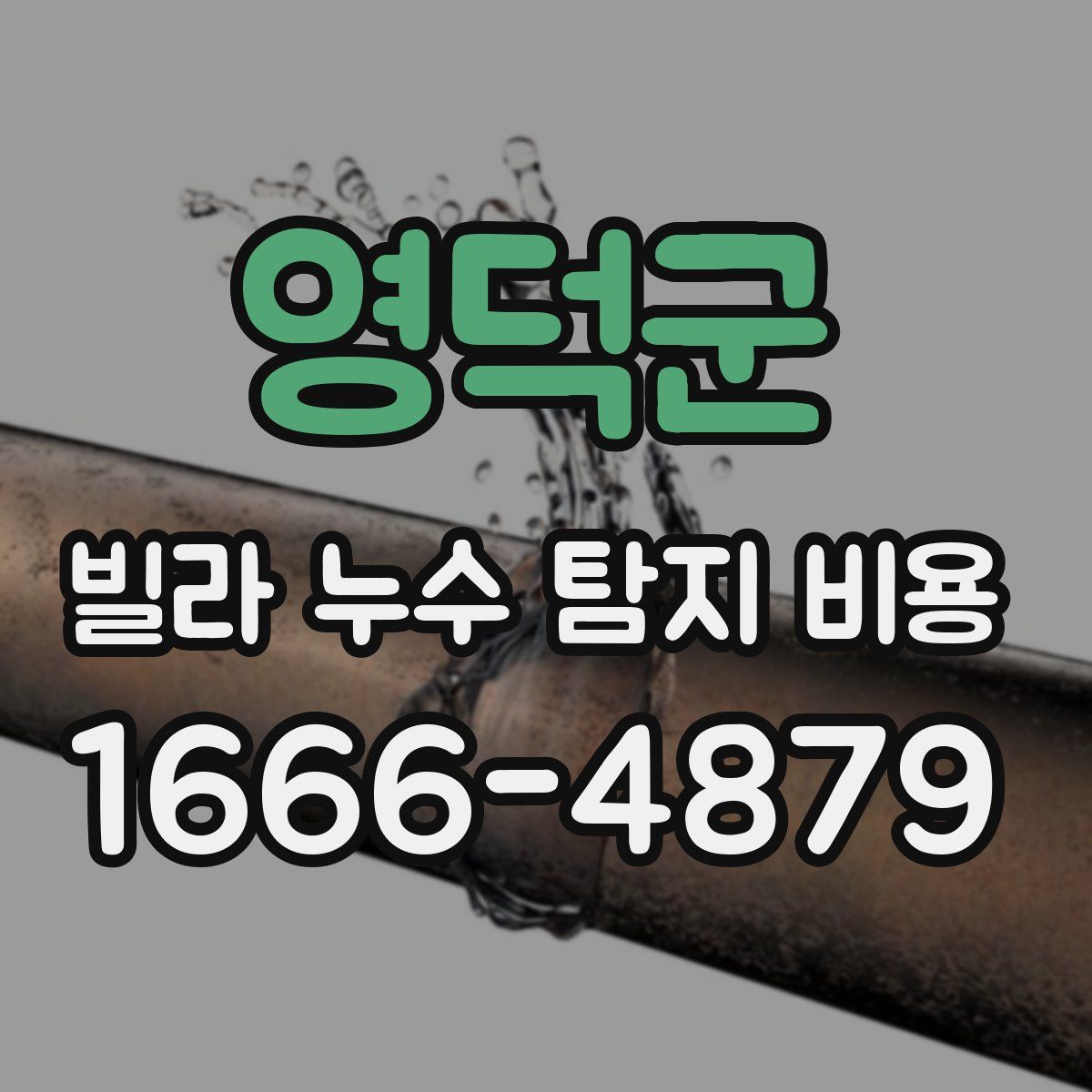 영덕군 빌라 누수 탐지 비용