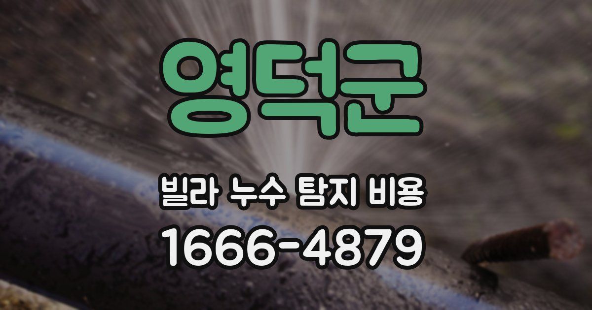영덕군 빌라 누수 탐지 비용