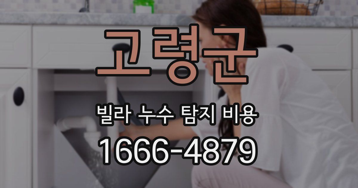 고령군 빌라 누수 탐지 비용