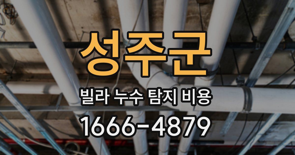성주군 빌라 누수 탐지 비용