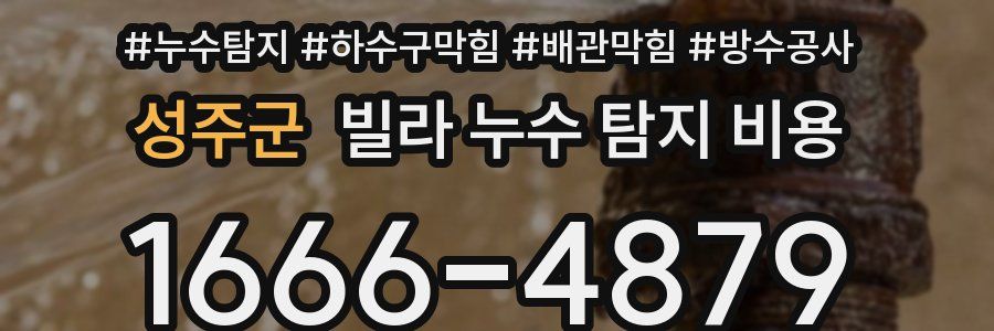 성주군 빌라 누수 탐지 비용