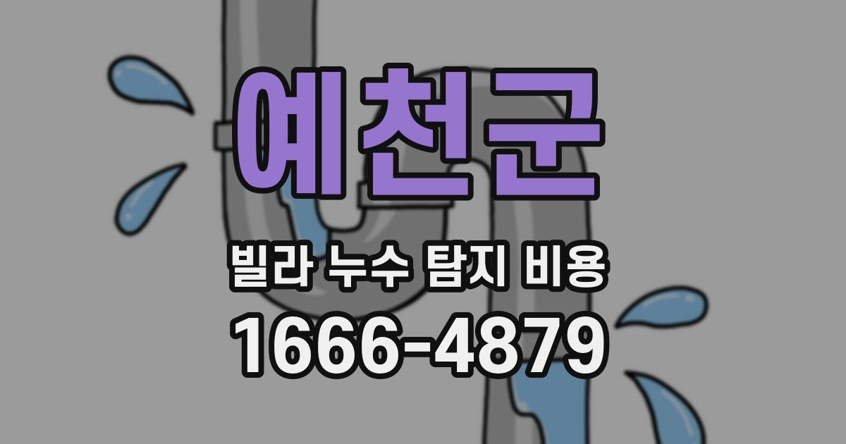 예천군 빌라 누수 탐지 비용