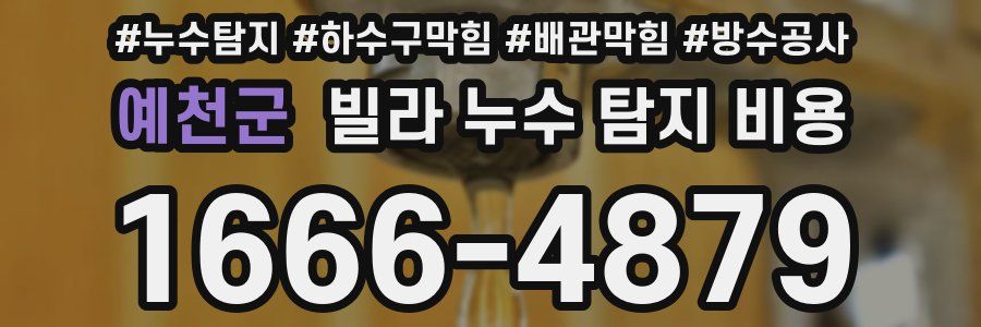 예천군 빌라 누수 탐지 비용