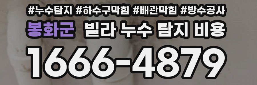 봉화군 빌라 누수 탐지 비용