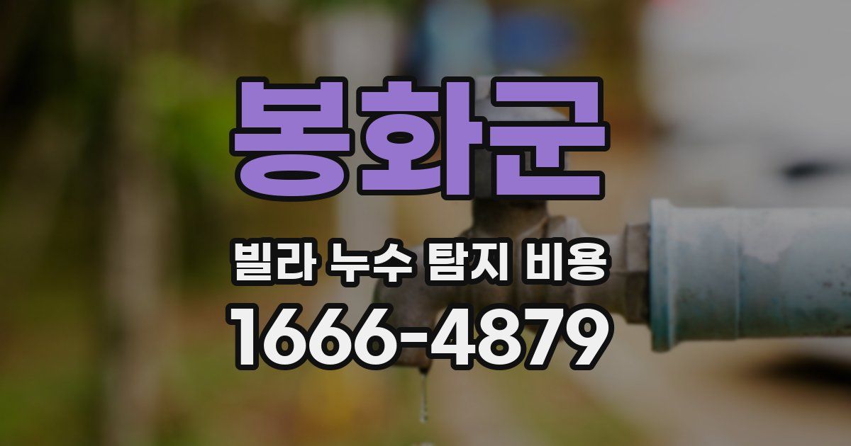 봉화군 빌라 누수 탐지 비용