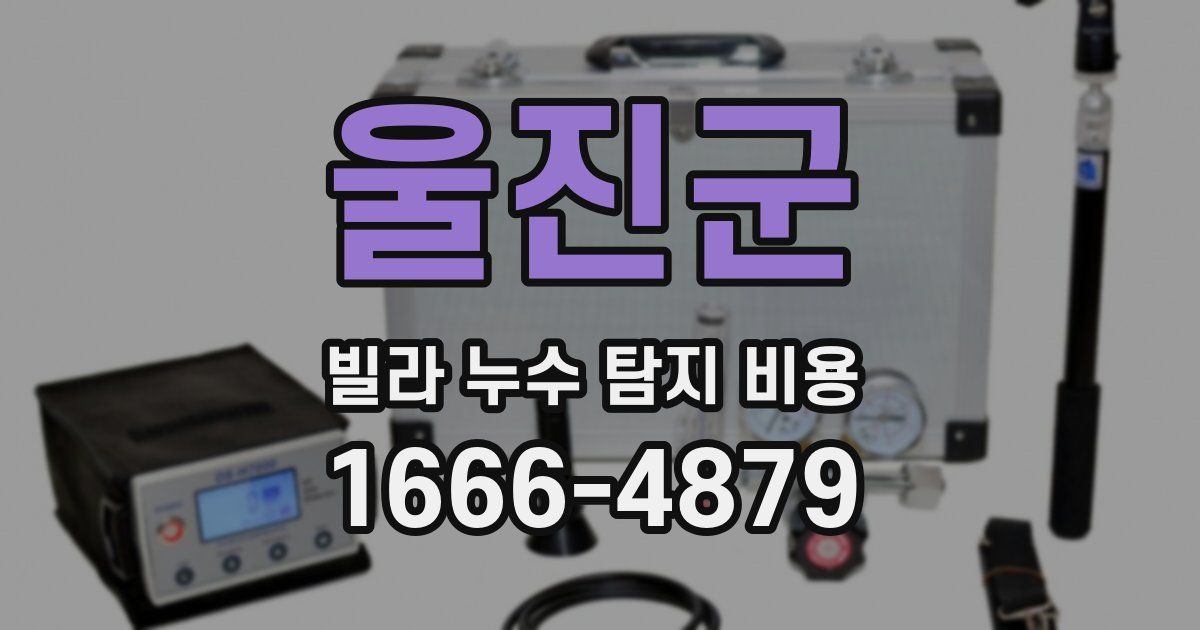 울진군 빌라 누수 탐지 비용