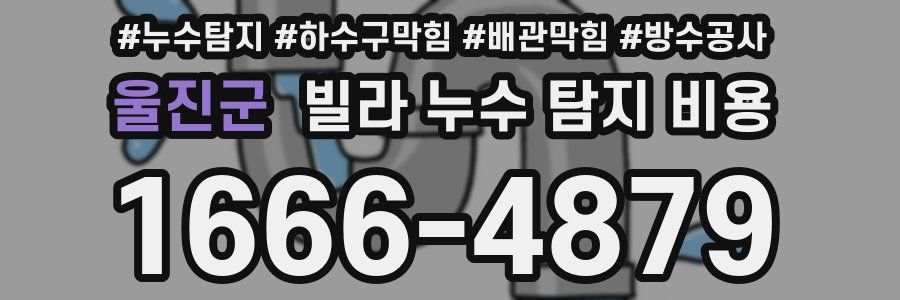 울진군 빌라 누수 탐지 비용