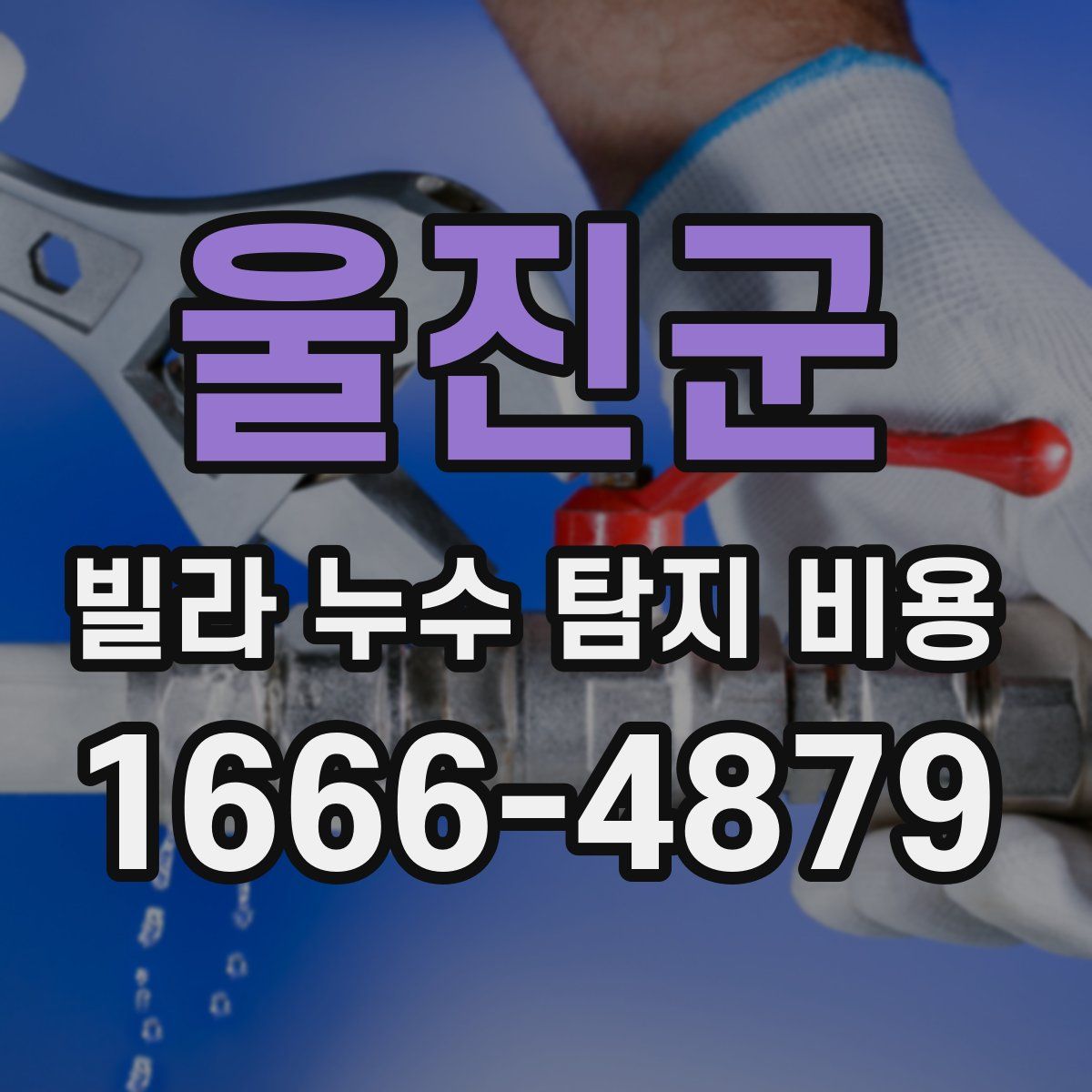 울진군 빌라 누수 탐지 비용