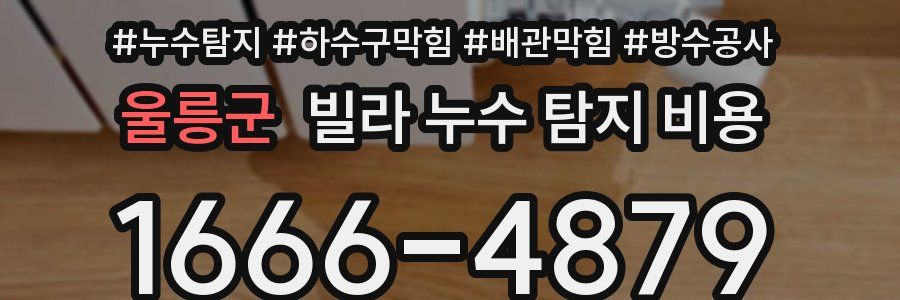 울릉군 빌라 누수 탐지 비용