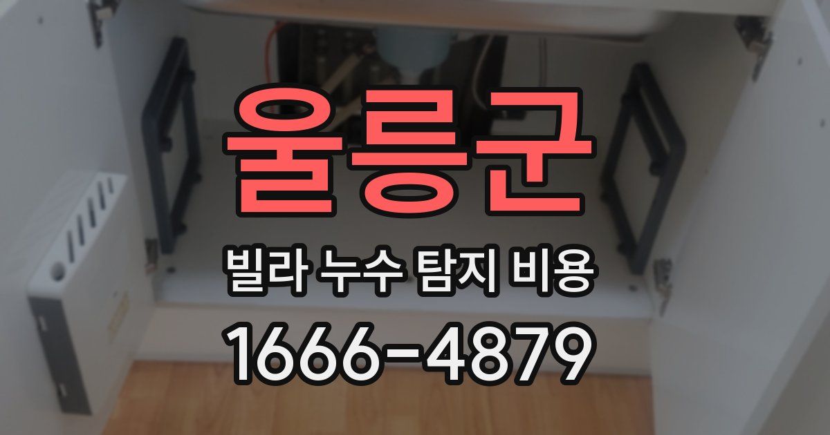 울릉군 빌라 누수 탐지 비용