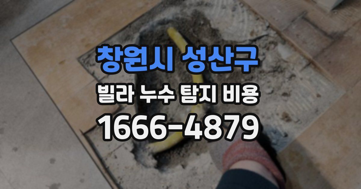 창원시 성산구 빌라 누수 탐지 비용