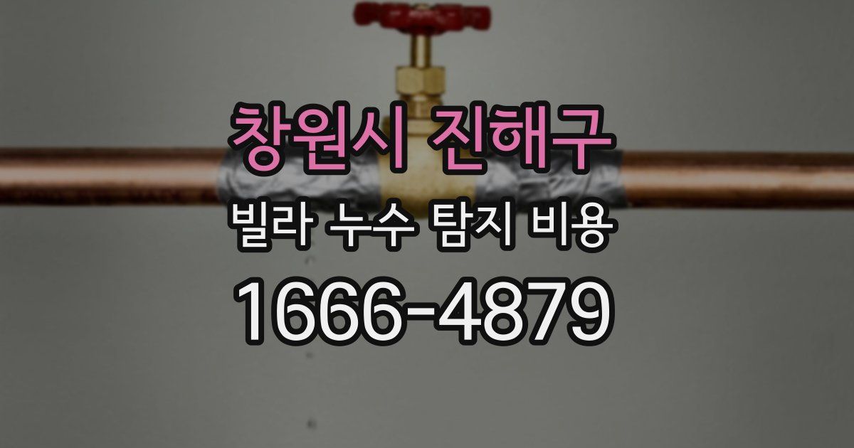 창원시 진해구 빌라 누수 탐지 비용