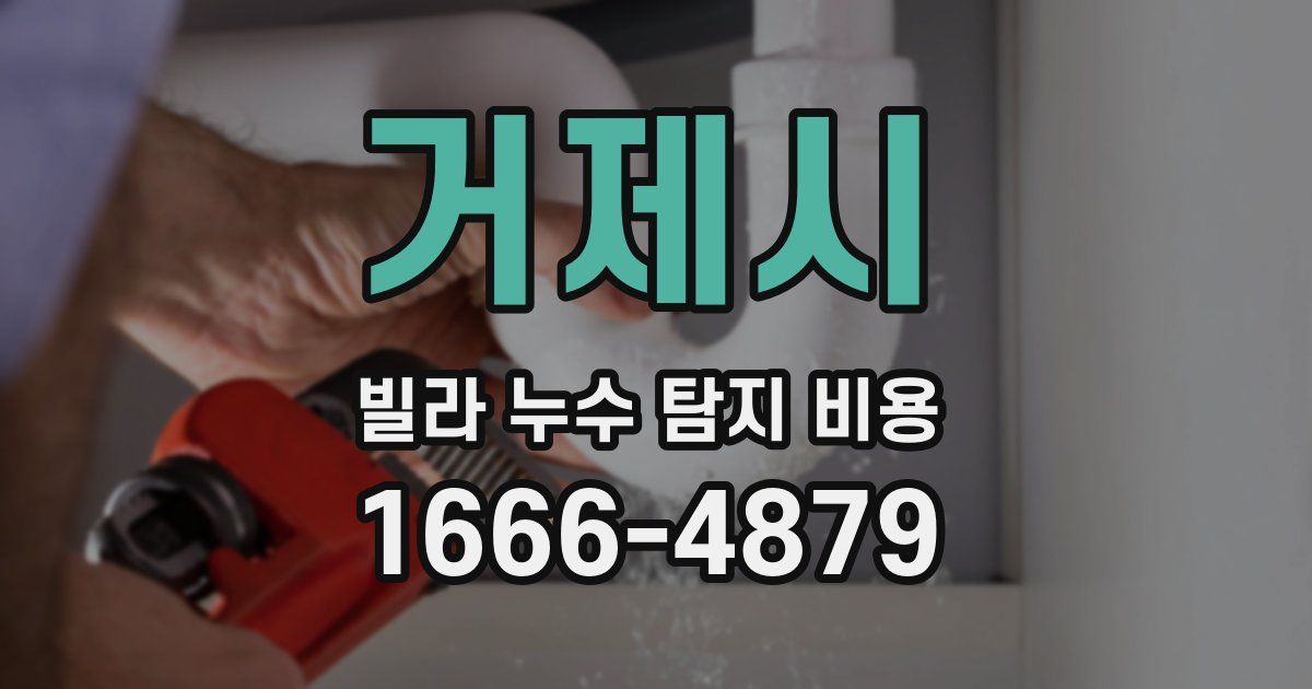 거제시 빌라 누수 탐지 비용