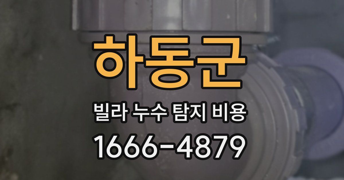 하동군 빌라 누수 탐지 비용