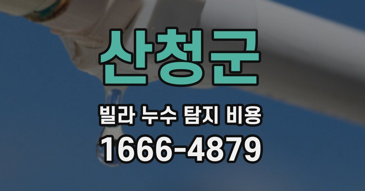산청군 빌라 누수 탐지 비용