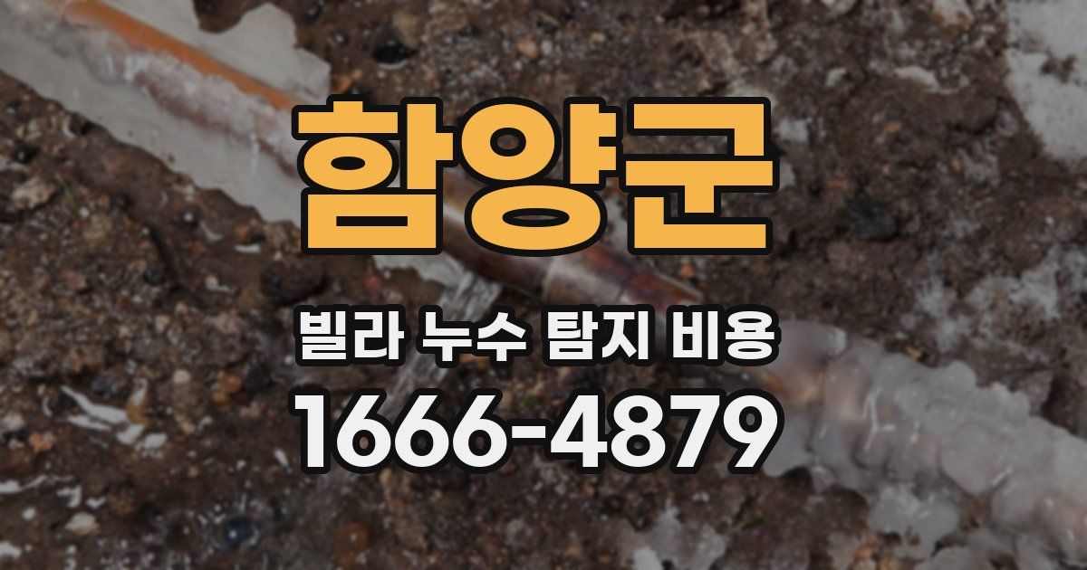 함양군 빌라 누수 탐지 비용