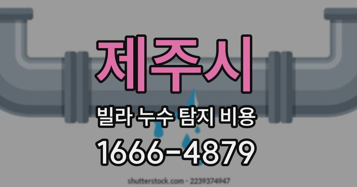 제주시 빌라 누수 탐지 비용