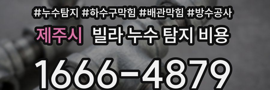 제주시 빌라 누수 탐지 비용