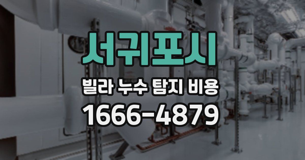 서귀포시 빌라 누수 탐지 비용