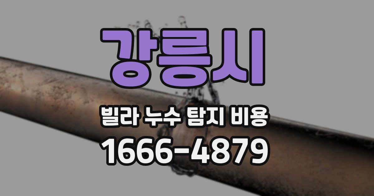 강릉시 빌라 누수 탐지 비용