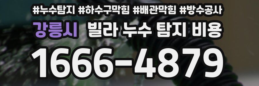 강릉시 빌라 누수 탐지 비용