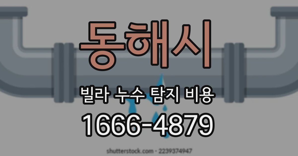 동해시 빌라 누수 탐지 비용