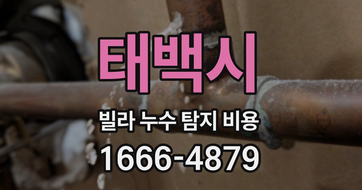 태백시 빌라 누수 탐지 비용