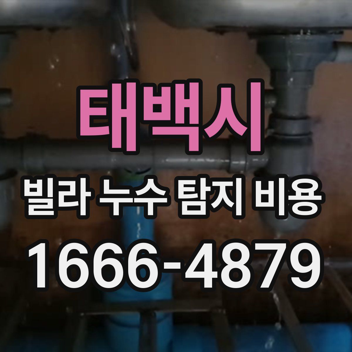 태백시 빌라 누수 탐지 비용