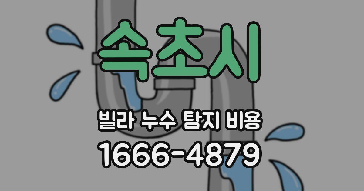 속초시 빌라 누수 탐지 비용