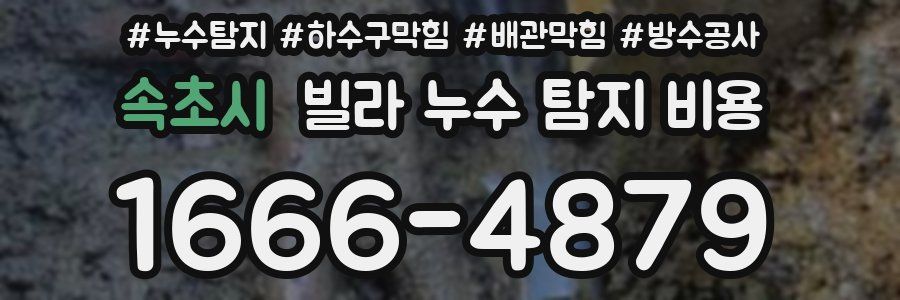 속초시 빌라 누수 탐지 비용