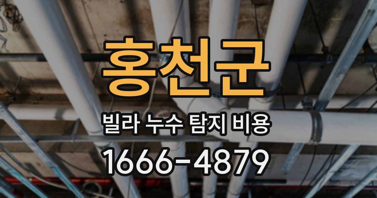 홍천군 빌라 누수 탐지 비용
