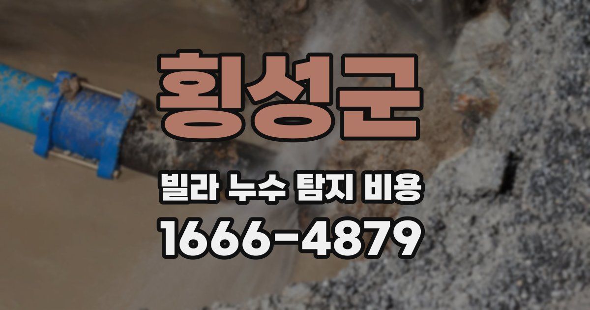 횡성군 빌라 누수 탐지 비용