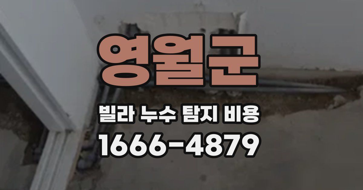 영월군 빌라 누수 탐지 비용