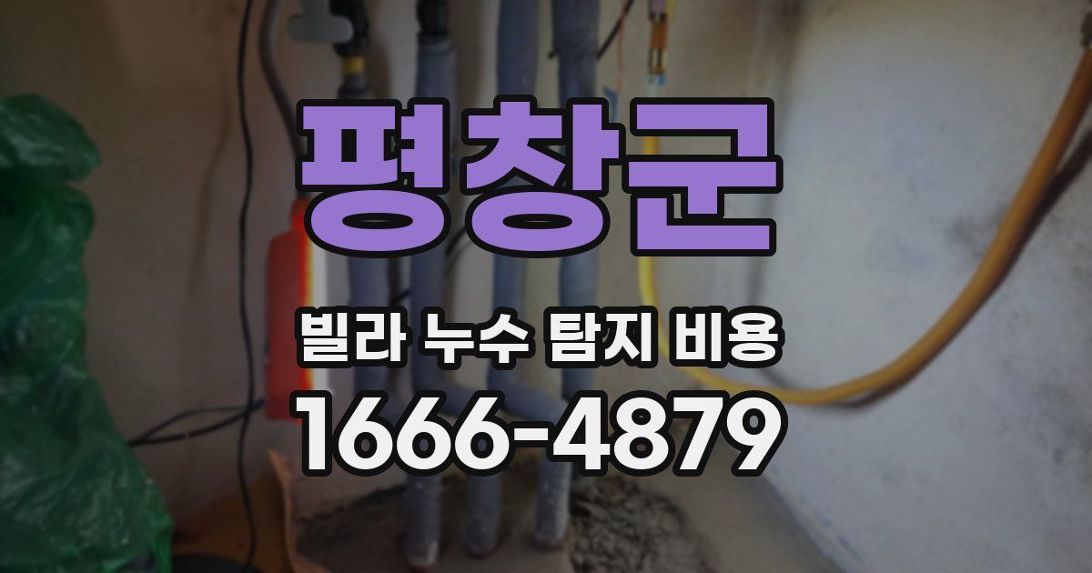 평창군 빌라 누수 탐지 비용