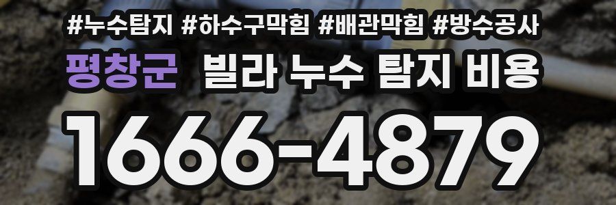 평창군 빌라 누수 탐지 비용