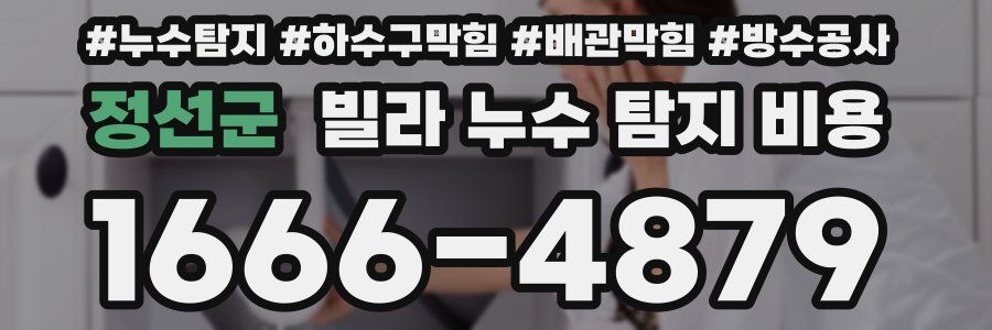 정선군 빌라 누수 탐지 비용