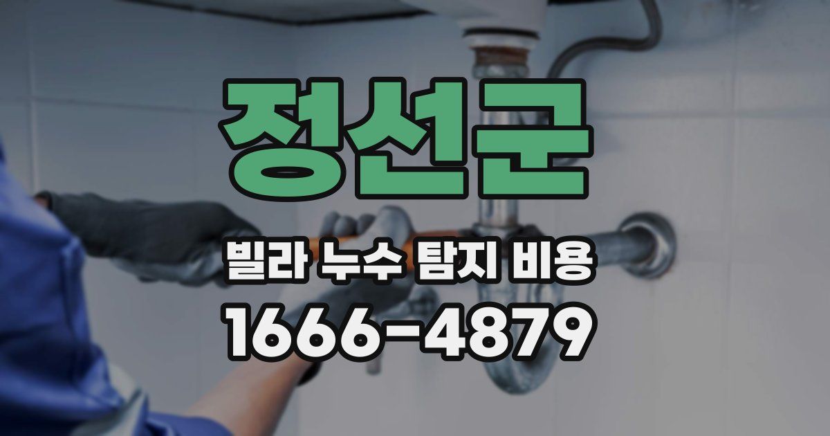 정선군 빌라 누수 탐지 비용