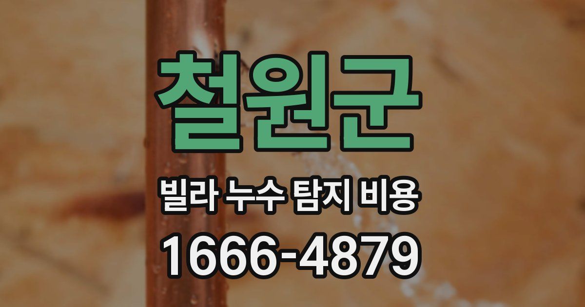 철원군 빌라 누수 탐지 비용