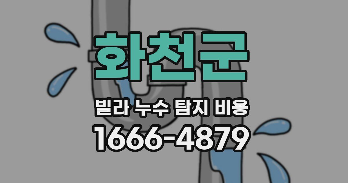 화천군 빌라 누수 탐지 비용