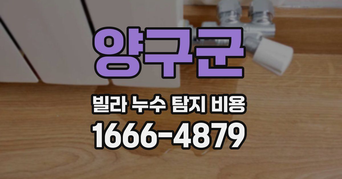 양구군 빌라 누수 탐지 비용