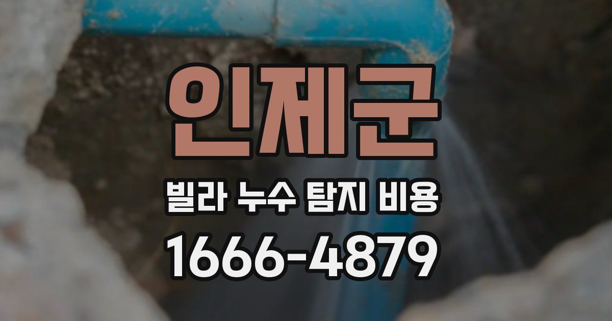 인제군 빌라 누수 탐지 비용